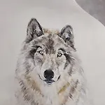 Casa vacanze Tor Der Berge - Huette Wolf By Interhome