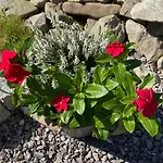 Tor Der Berge - Huette Wolf By Interhome Casa vacanze Gorki Male (Silesia)