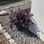 Casa vacanze Tor Der Berge - Huette Wolf By Interhome