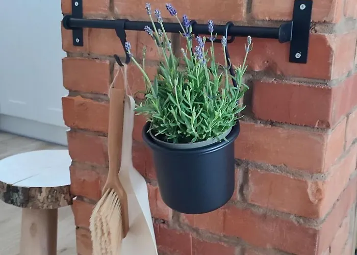 Tor Der Berge - Huette Wolf By Interhome * Gorki Male (Silesia)