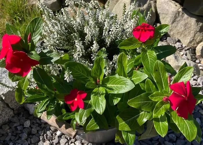 Tor Der Berge - Huette Wolf By Interhome Сasa de vacaciones Gorki Male (Silesia)