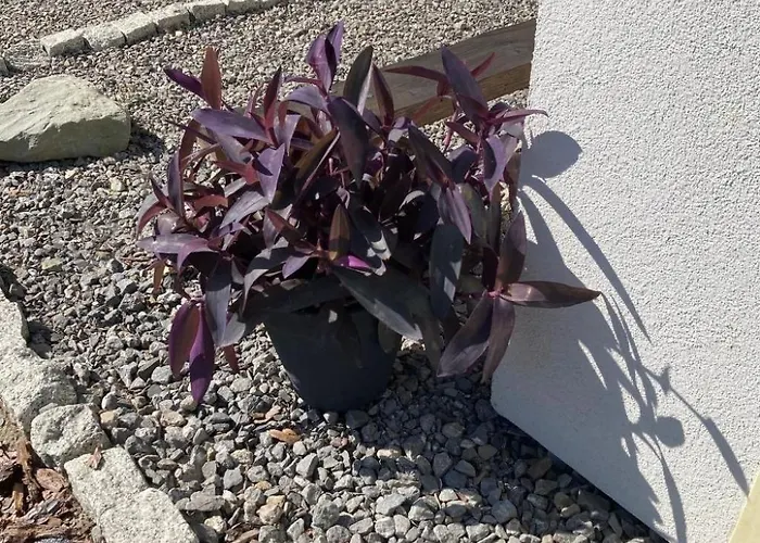 Сasa de vacaciones Tor Der Berge - Huette Wolf By Interhome